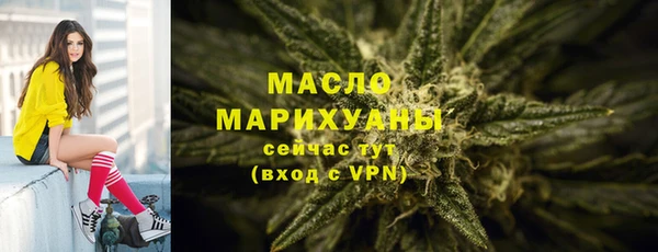 спайс Ельня