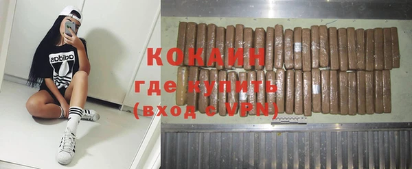 спайс Ельня