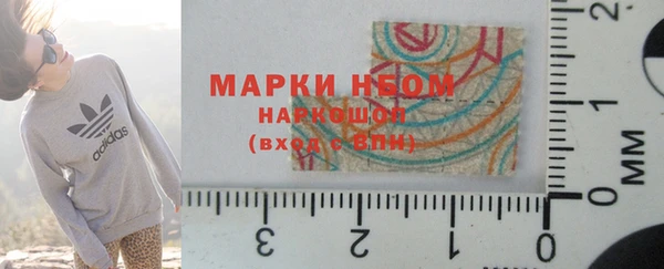 хмурый Елизово