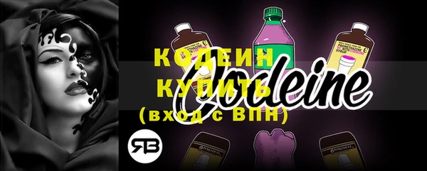 хмурый Елизово