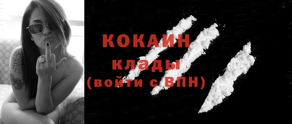 прущие грибы Алагир