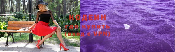 хмурый Елизово