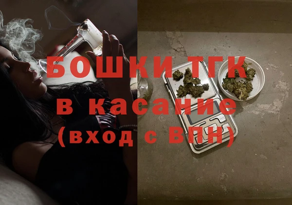 спайс Ельня
